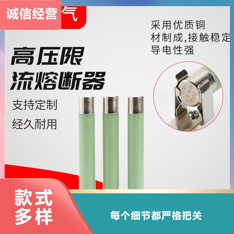 XRNP-10KV/3.15A高压熔管本地经销商