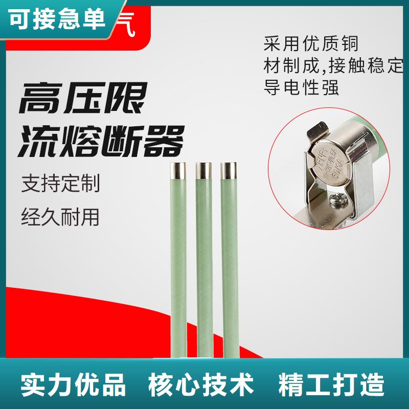 XRNP1-3.6KV/2A限流熔断器快速生产