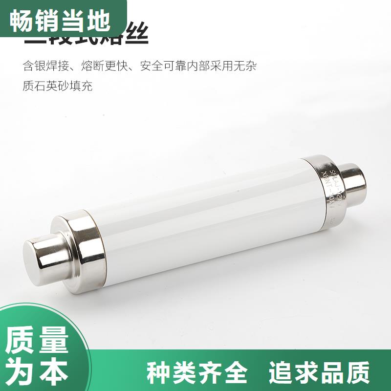 BRN-10/40A双管限流熔断器实力大厂家