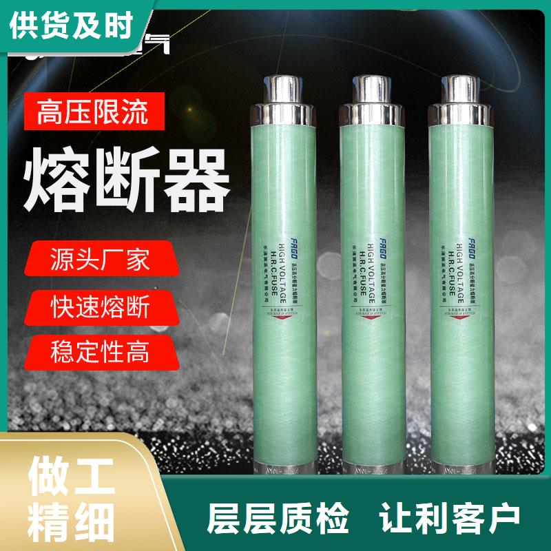 RW9-35/100A熔断器多年实力厂家