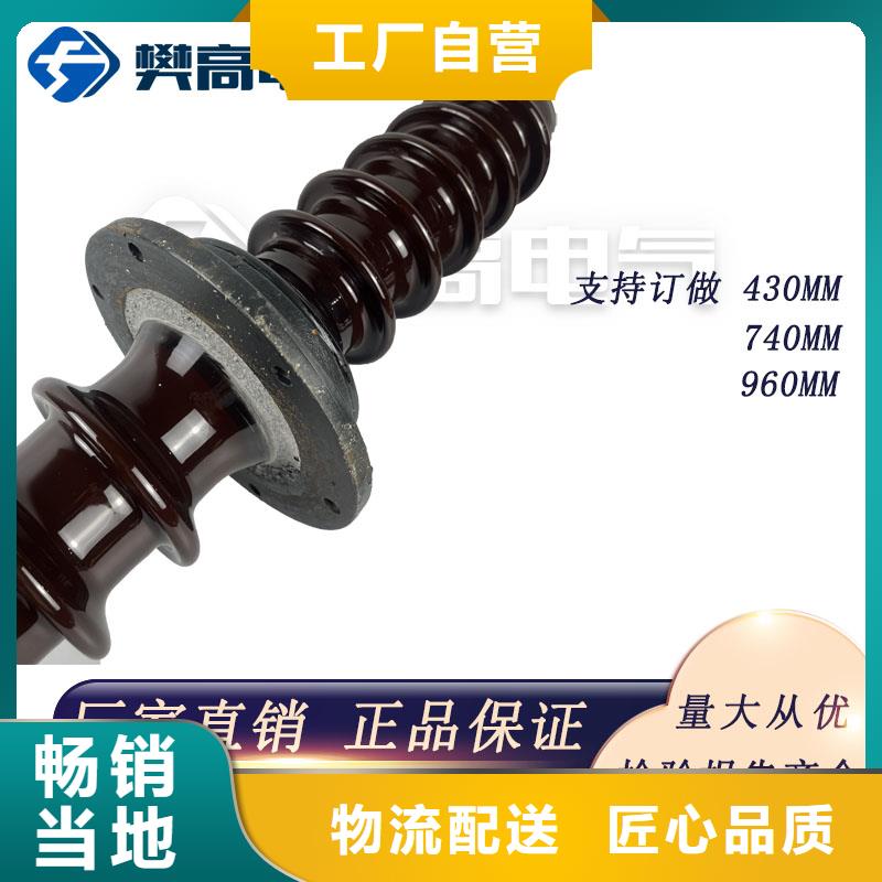 CWB-10/400高压套管工厂采购