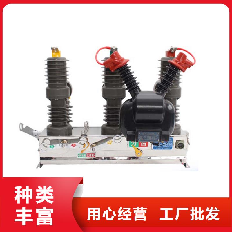 真空断路器氧化锌避雷器超产品在细节本地生产厂家