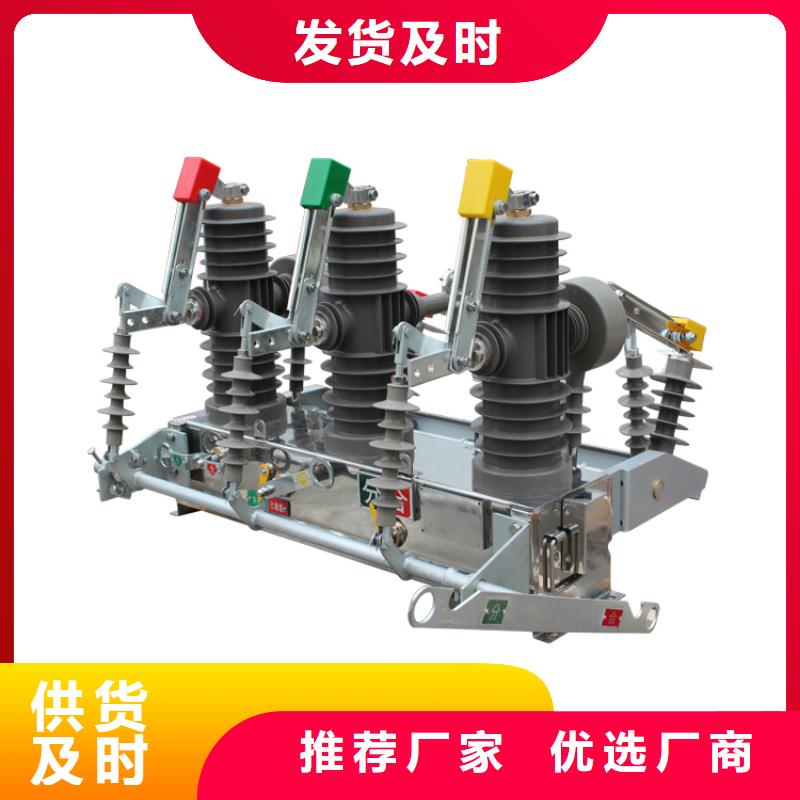 真空断路器氧化锌避雷器供应好品质售后无忧厂家实力大