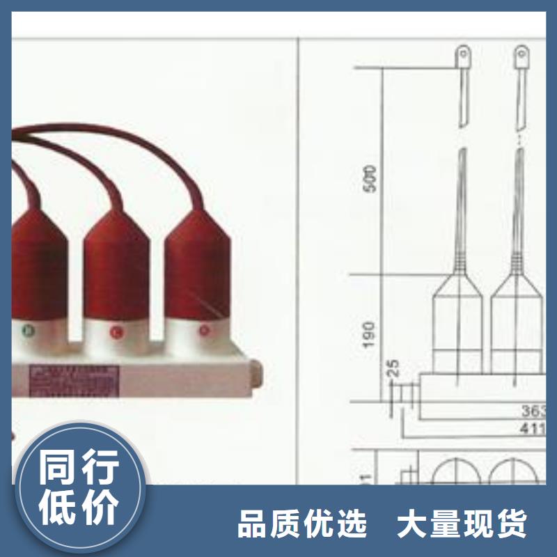 过电压保护器真空断路器自营品质有保障同城货源