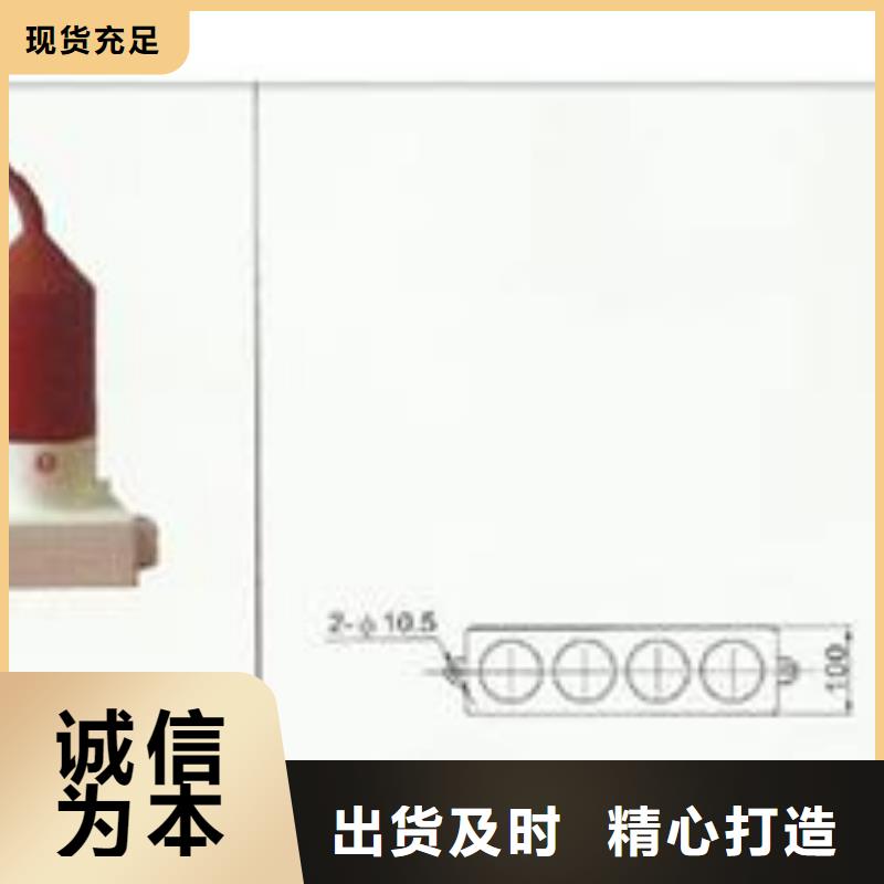 过电压保护器绝缘子源厂直接供货厂家定制
