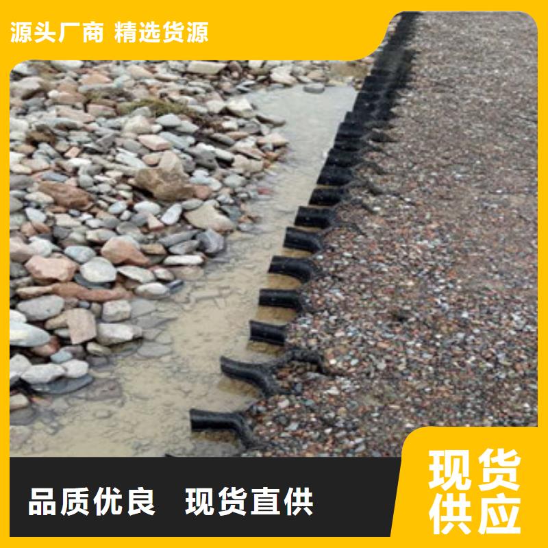 蜂巢格室钢塑格栅您想要的我们都有可定制